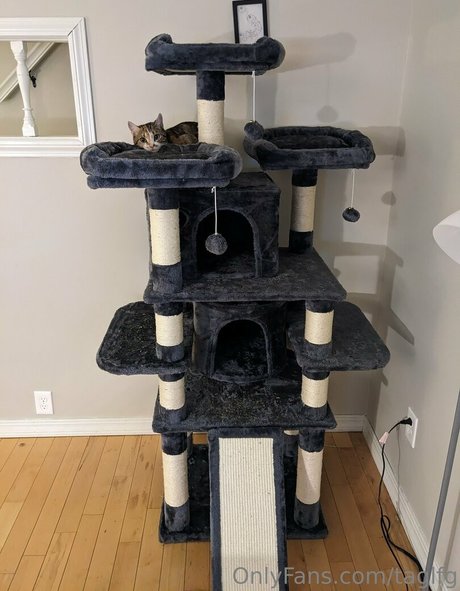 taglfg beste nackten bild