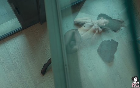 Sofyaem kunst porno galerien