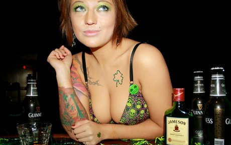 asiatische kätzchen nur fans kostenlose top bilder