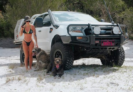 ShaylaOdonnelll top kunst galerien