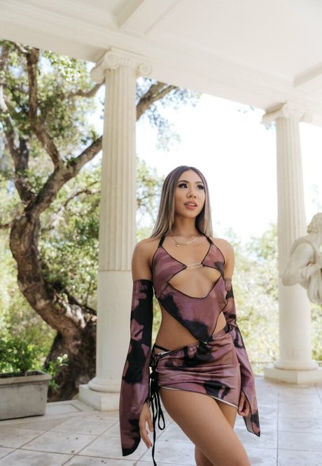 Elizaachar hübsche kunst archiv