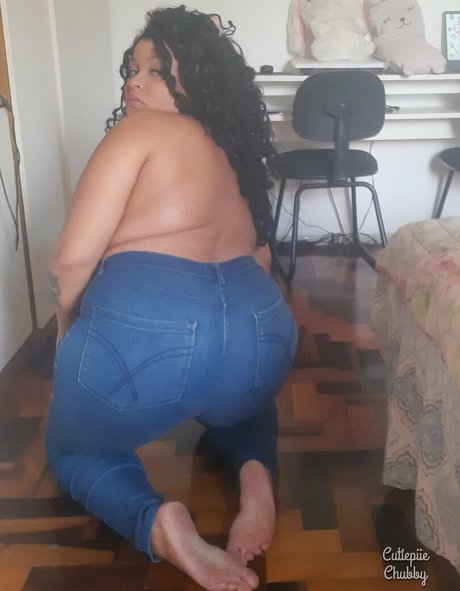 asiatische kätzchen nur fans perfekte kostenlose bilder