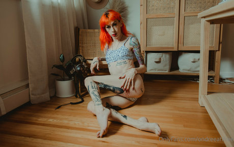 ondreeahfree erotische nette bild