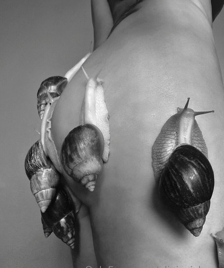 oliviezizkova Bilder