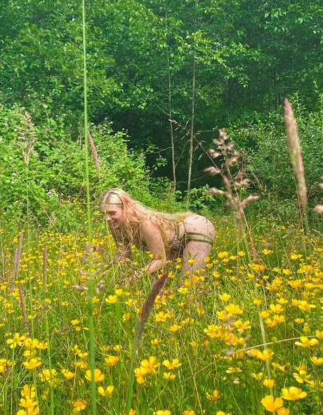 bunny rainbow freie hübsche fotos