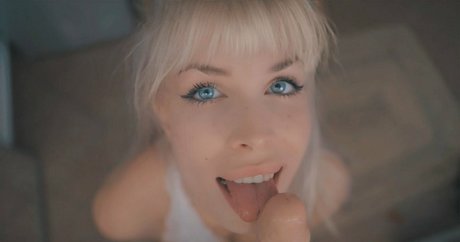 Ocicat erwachsene hd bild