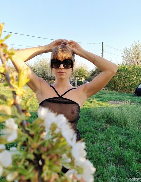 Ocicat top pornostar bild