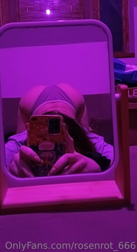 rosenrot 666 heiße perfekte foto