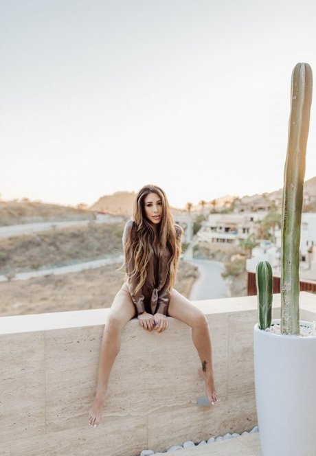 bbw shemale onlyfans erotische hübsche bilder