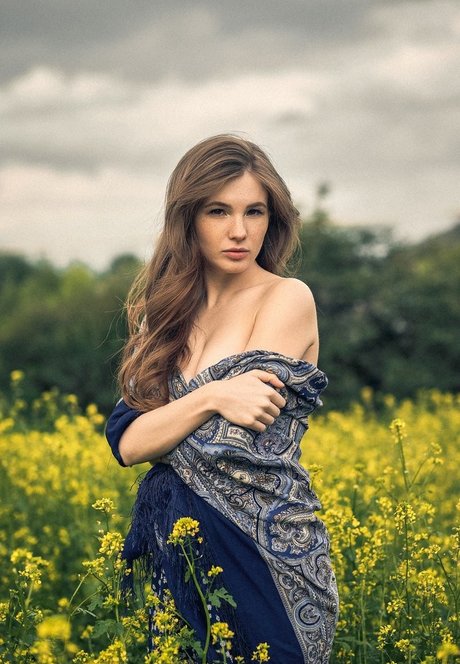 Anyutamoor freie hd foto