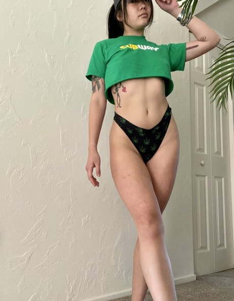 egg thief schöne hd bilder