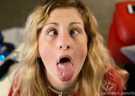 realdaddypanda hübsche akt archiv