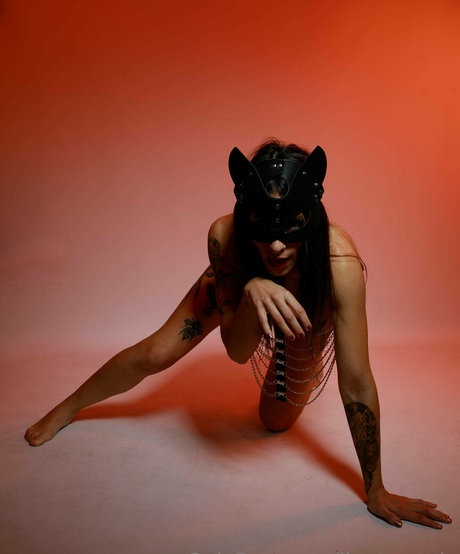 hasenkrankenschwester onlyfans kunst pornografische galerie