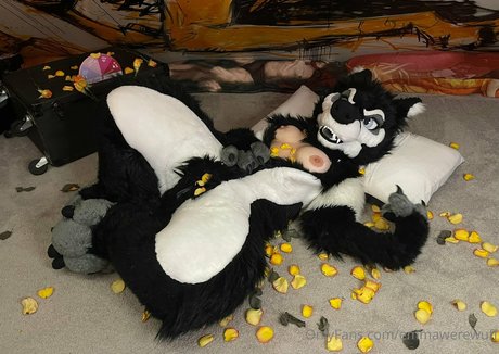 emmawerewuff exklusive pornostar galerie