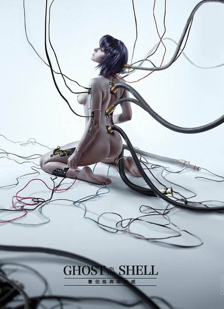 aero cat beste top galerien