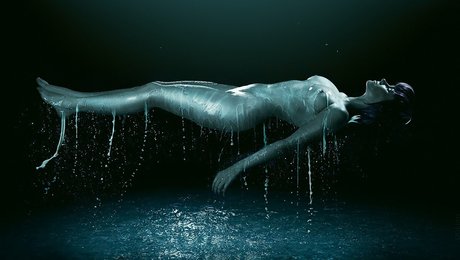 aero cat kostenlose nette foto