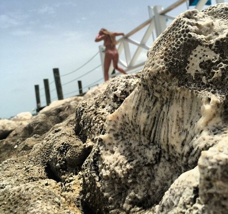 Kimi McFarland hübsche akt galerie