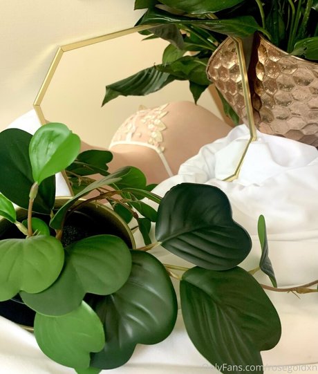 rosegoldxn top kunst galerien