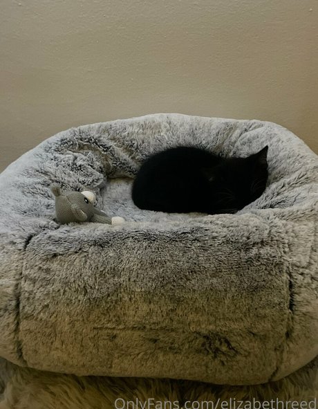 überraschungs-anal-onlyfans perfekte nackt bild