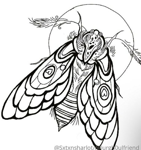 sxtxnsharlot beste bild