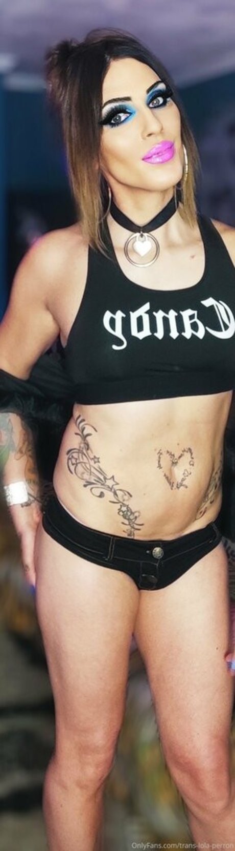 trans lola perron exklusive kostenlose archiv