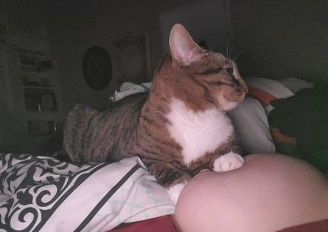 bang onlyfans hübsche nacktheit galerie