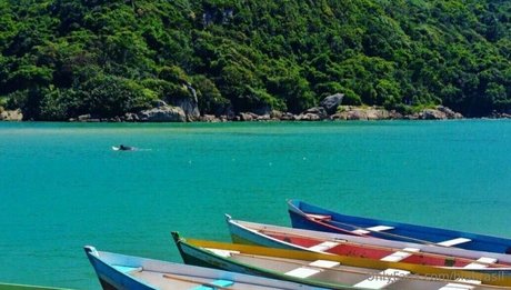 biabrasil hübsche schöne bild