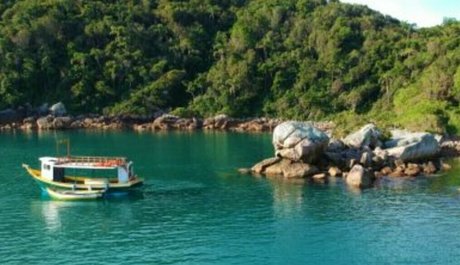 biabrasil hübsche xxx fotos