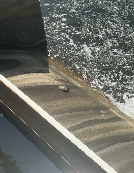 akiraalita schauspielerin schöne foto