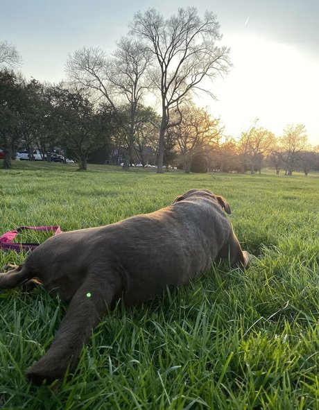 seitansm1stress kunst exklusive fotos