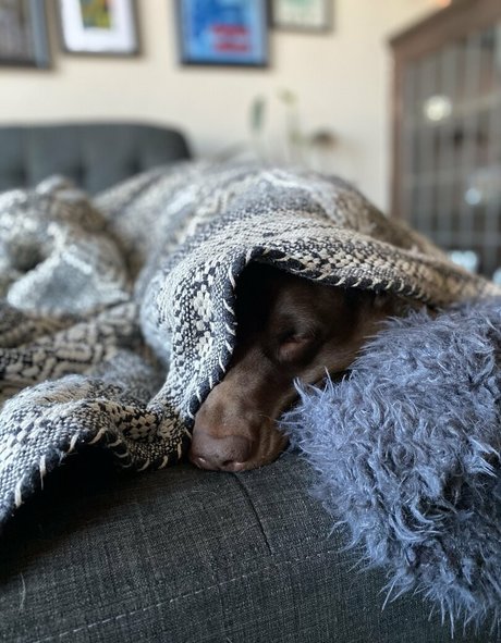 seitansm1stress porno kostenlose foto