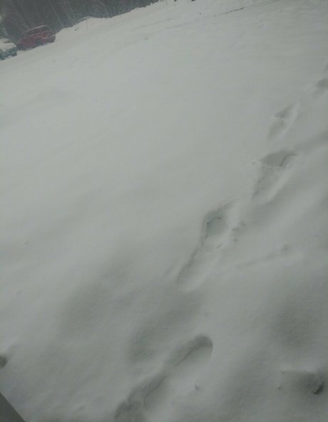 beautifulchaos25 nackt pornographische galerie