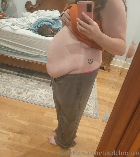 feedchromie freie hübsche foto