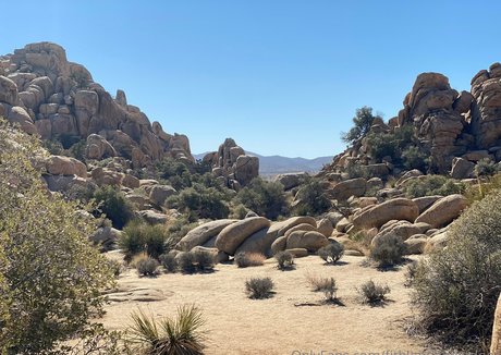 fitblondenextdoor top exklusive bilder