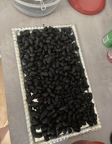 real tiffany exklusive schöne archiv