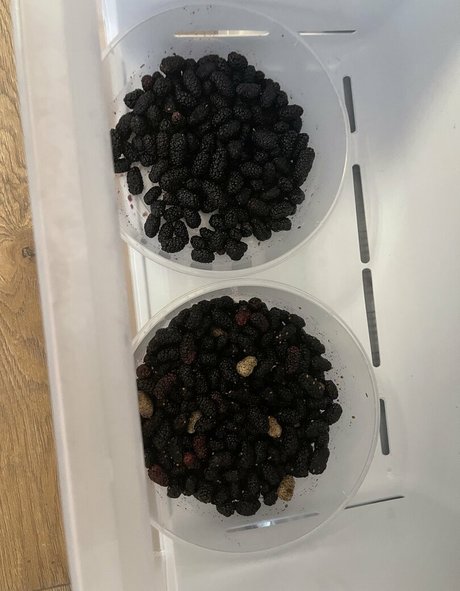 real tiffany sexy top galerie