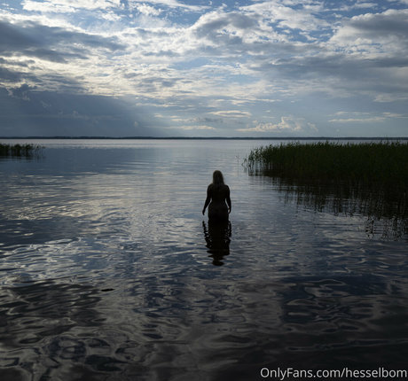 hesselbom kunst beste galerien