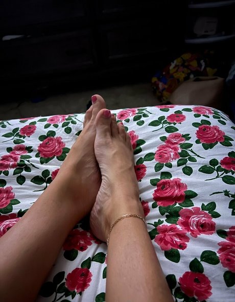 soleful08 kostenlose beste fotos