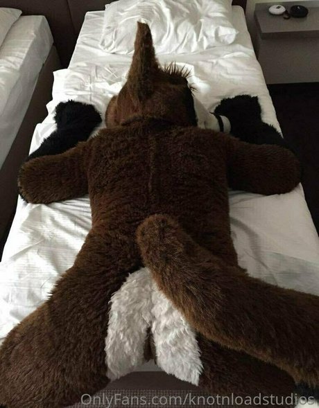 knotnloadstudios xxx schöne galerien