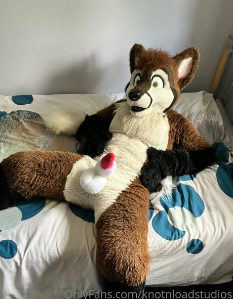 knotnloadstudios perfekte freie bild