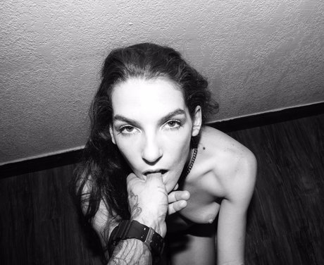 Stevie Macaroni top beste bild