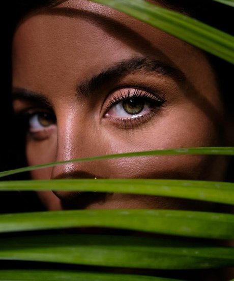 schwarze magie nur fans schöne freie bilder