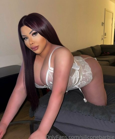 siliconebarbie exklusive erotische galerien