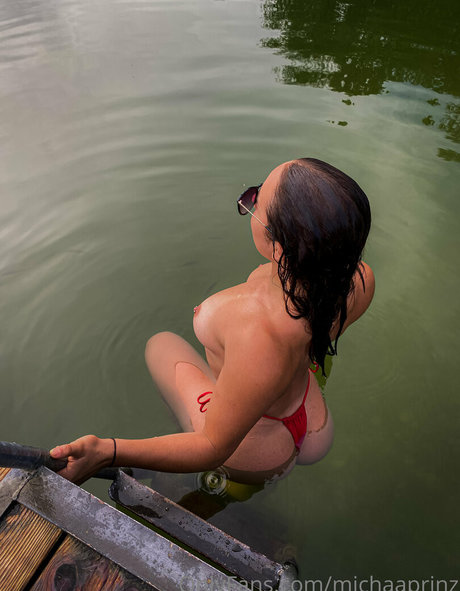 michaaprinz freie archiv