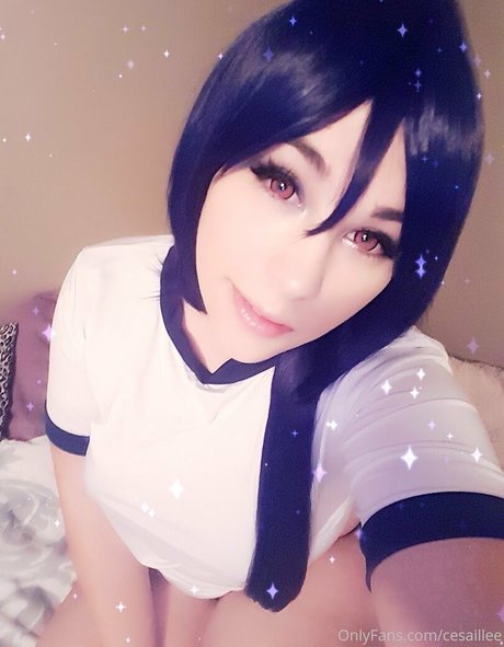 cesaillee freie top bilder