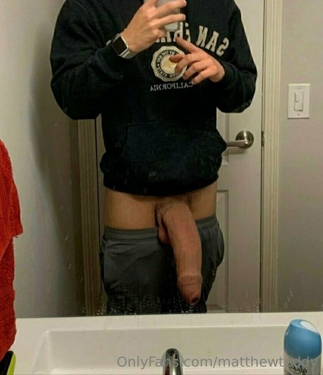 matthewteddy hübsche schöne galerie