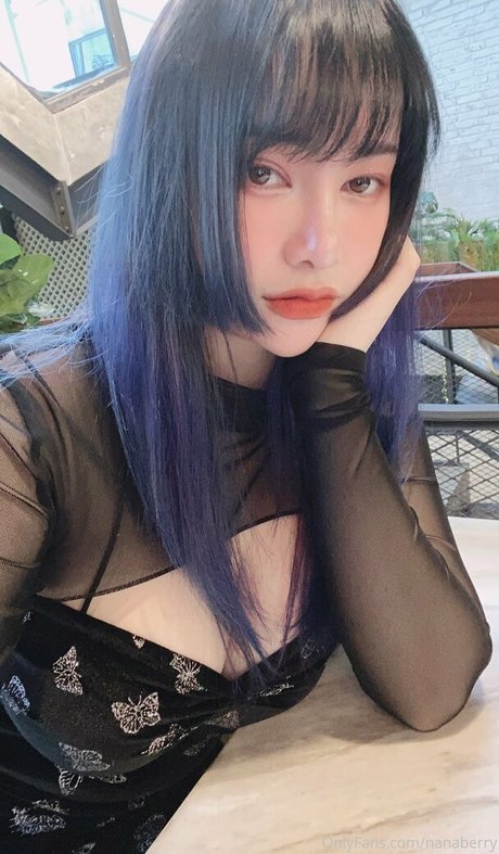 knie nur fans exklusive galerie