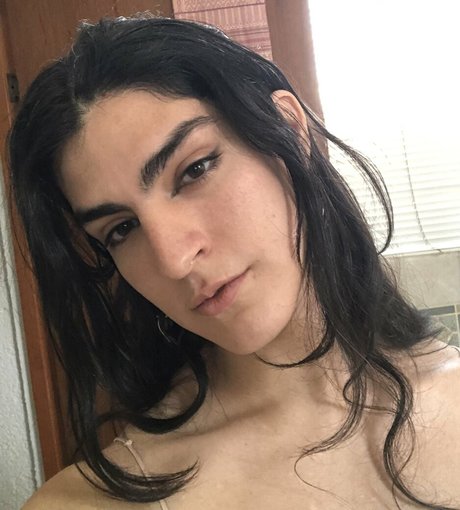 haditasd model top bild