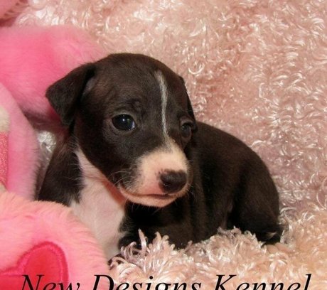 jizzgooglezmfc Bilder