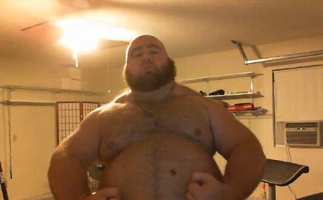 gainerbull exklusive schöne foto